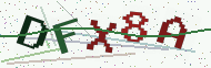 Security code image