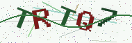 Security code image
