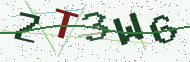 Security code image