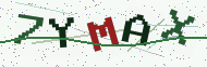 Security code image