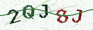 Security code image