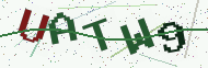 Security code image