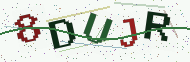 Security code image