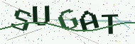 Security code image
