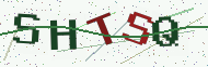 Security code image