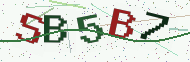 Security code image