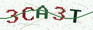 Security code image