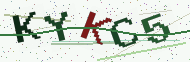 Security code image