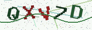 Security code image