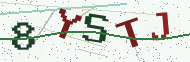 Security code image