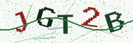 Security code image