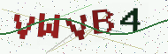 Security code image