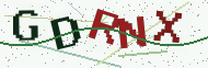 Security code image