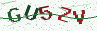Security code image