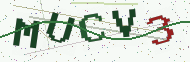 Security code image
