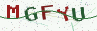 Security code image