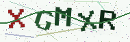 Security code image