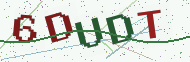 Security code image