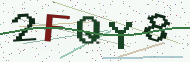 Security code image