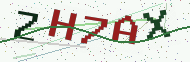 Security code image