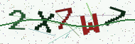 Security code image