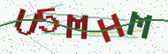Security code image