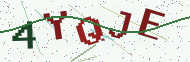 Security code image