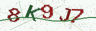 Security code image