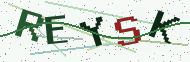 Security code image