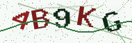 Security code image