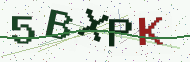 Security code image